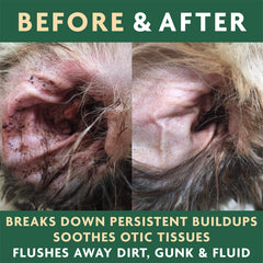 EcoEars washes away dirt and wax during routine cleaning