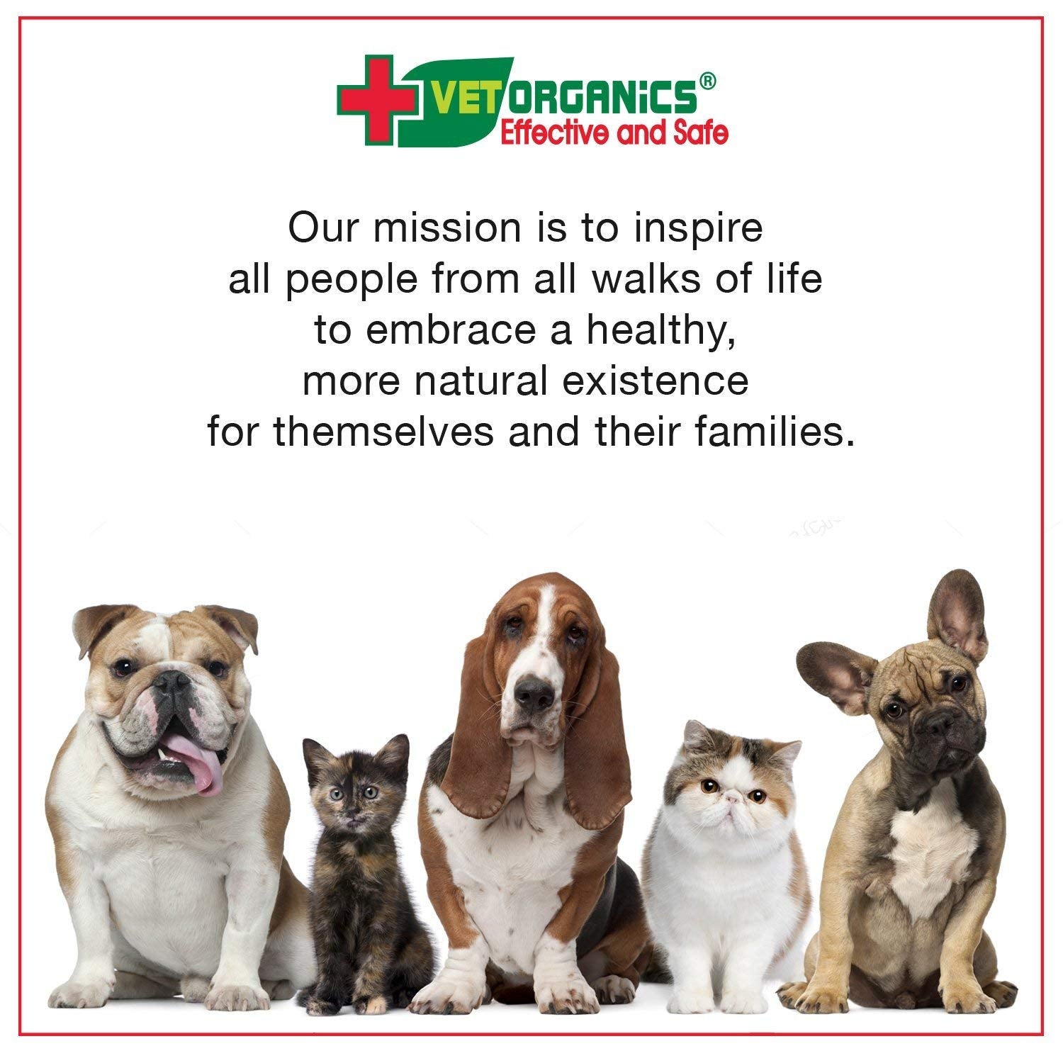 Vet Organics EcoImmune packaging-variations highlight natural ingredients and health support.