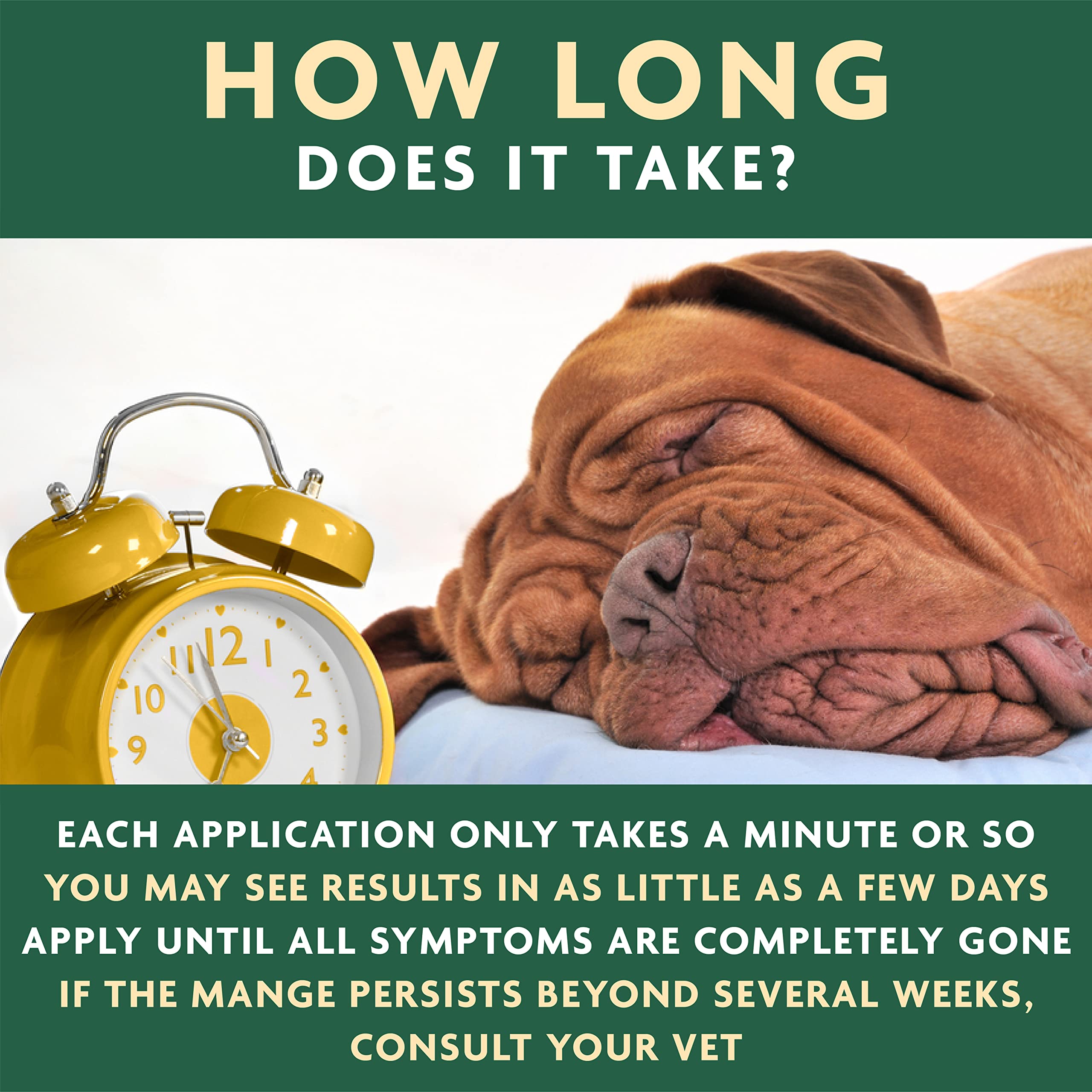 Vet Organics EcoMange-herbal-extracts close-up illustrates nature-based relief options