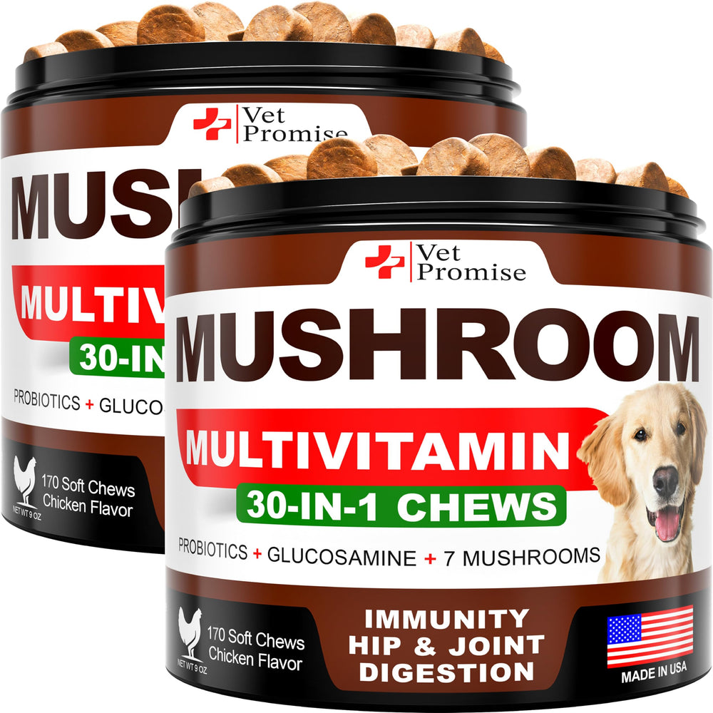 Vet Promise 2-pack mushroom for dogs bottle front promotes immunity and daily wellness