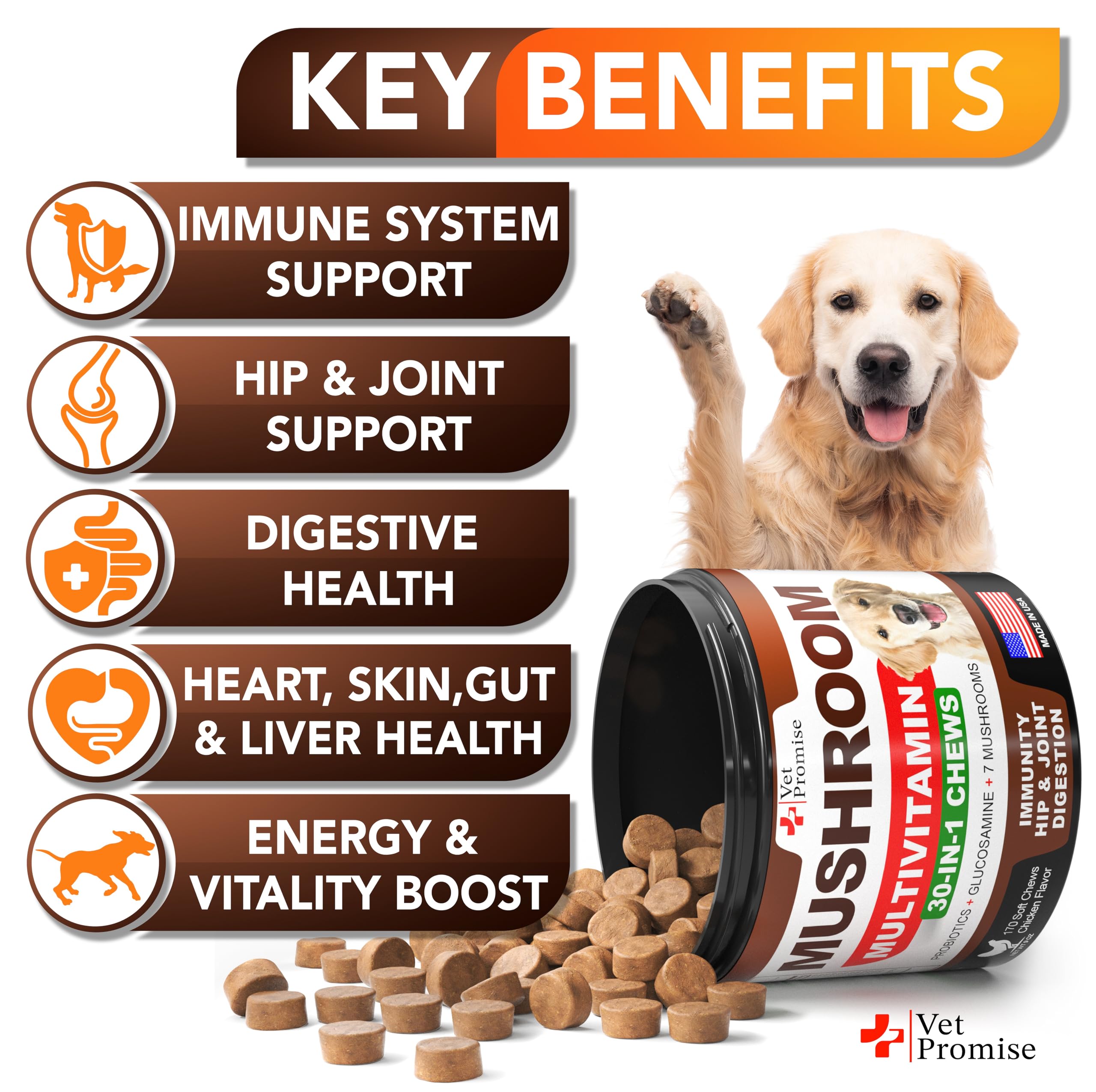 Vet Promise mushroom for dogs lions mane bottle close-up for brain health