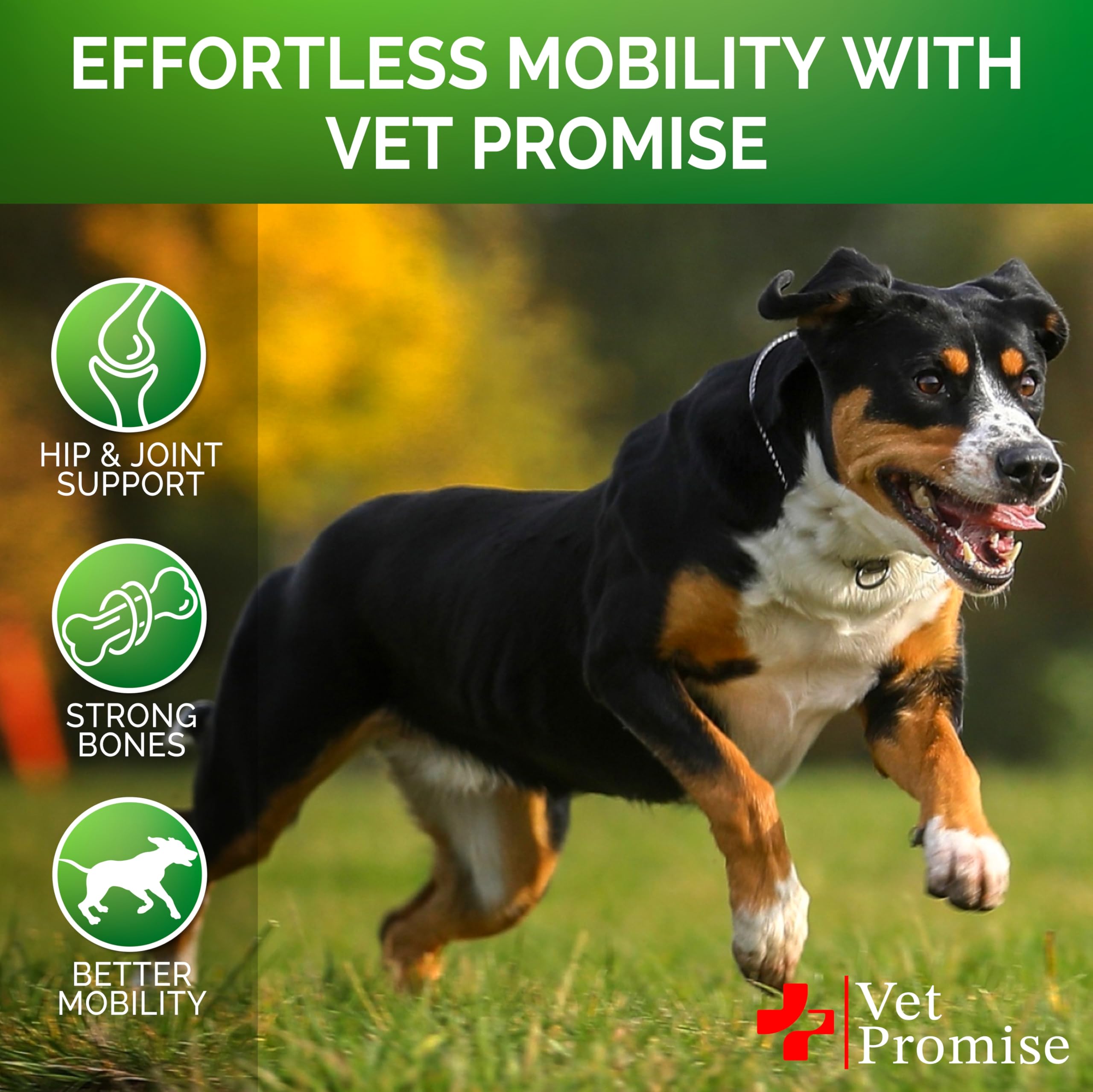 Vet Promise USA-made packaging highlighting joint health formula.