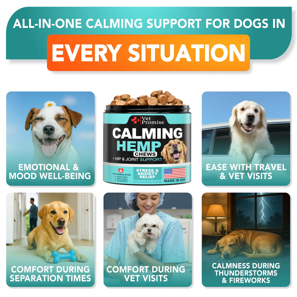 Vet Promise masticables calmantes para perro, ayuda a calmar la ansiedad diaria.