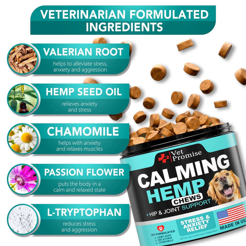 Vet Promise masticables calmantes para perro sentado, favorecen la relajación.