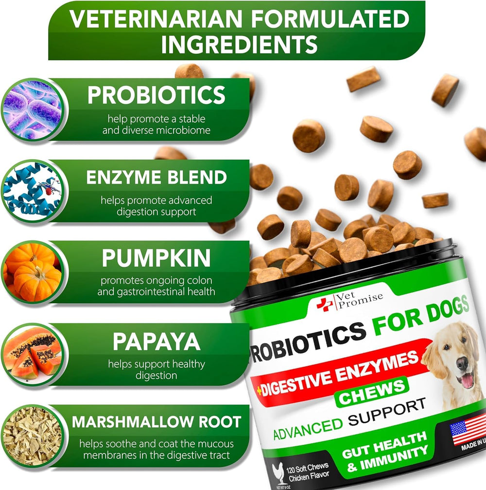 Vet Promise dog probiotics ingredients showcase natural prebiotics for improved gut flora.