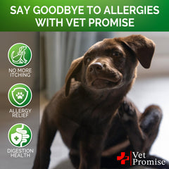Vet Promise dog allergy chews packaging USA-made vet-formulated product with premium natural ingredients