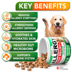 Vet Promise dog allergy chews serving easy daily dosing for healthier skin and coat