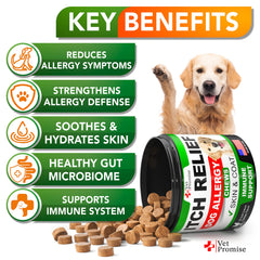 Vet Promise Dog Allergy Relief Chews bottle back with ingredients and usage guidance