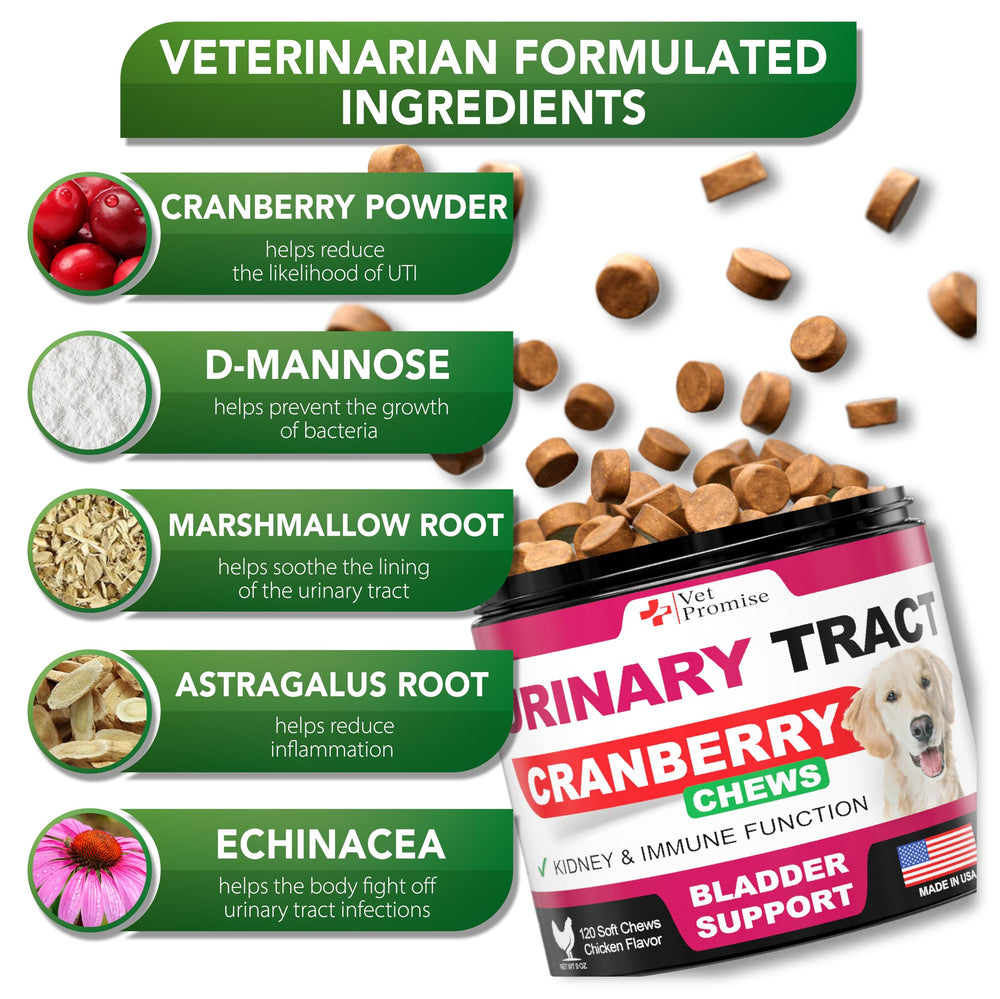 Vet Promise dog bladder-support chews shown for daily urinary wellness.