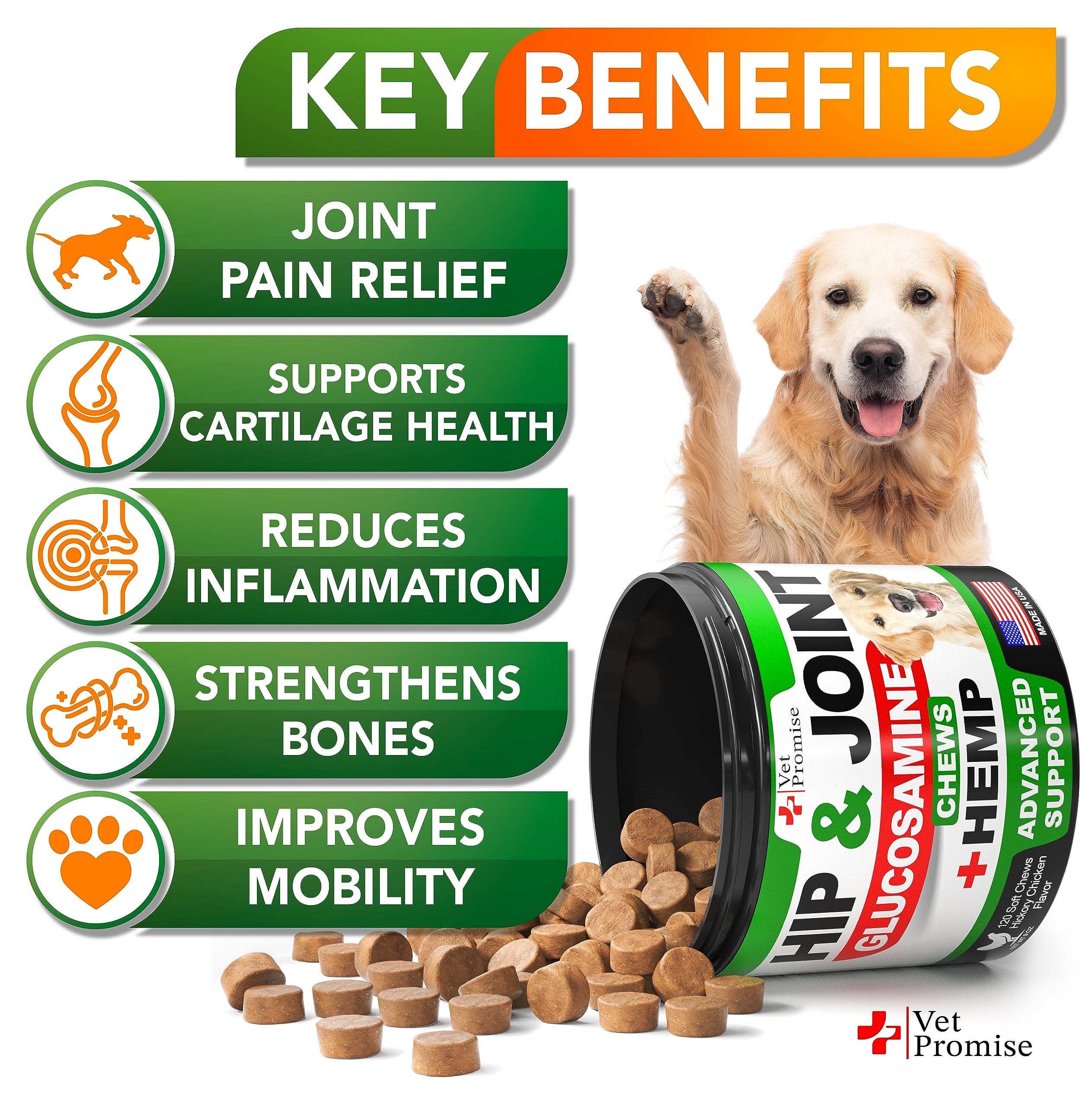 Vet Promise dog joint mobility shot highlights improved movement