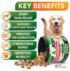 Vet Promise dog joint mobility shot highlights improved movement