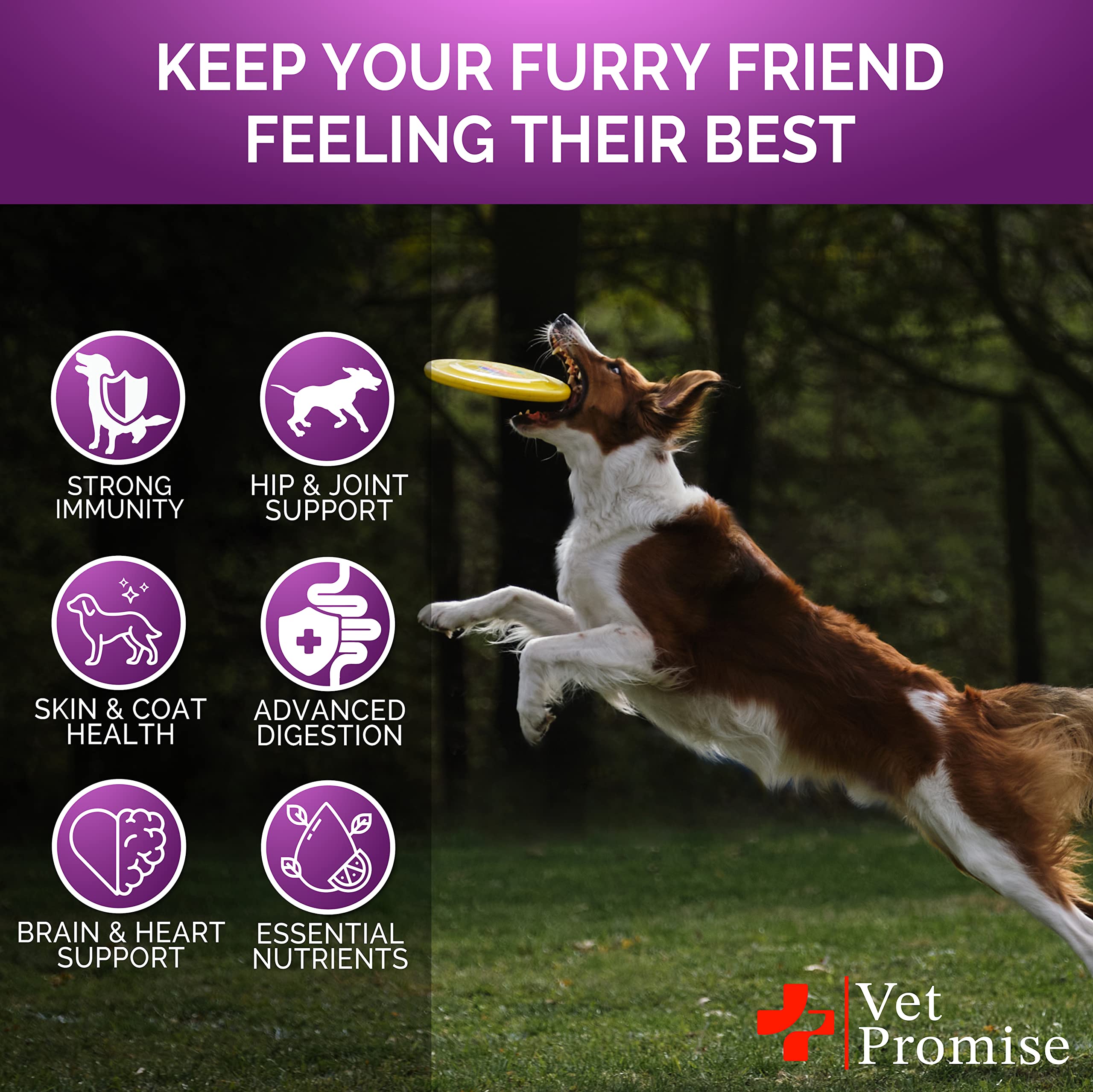 Vet Promise dog multivitamin chews paws image hints at hands-free, daily dosing for dogs.