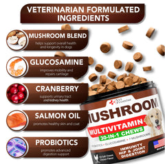 Vet Promise dog mushroom supplement 170 chews shown as a tasty daily treat for dogs