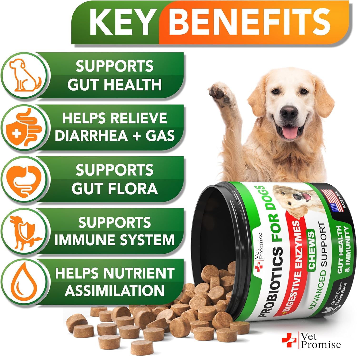 Vet Promise dog probiotics chews closeup highlights tasty treats aiding digestion.