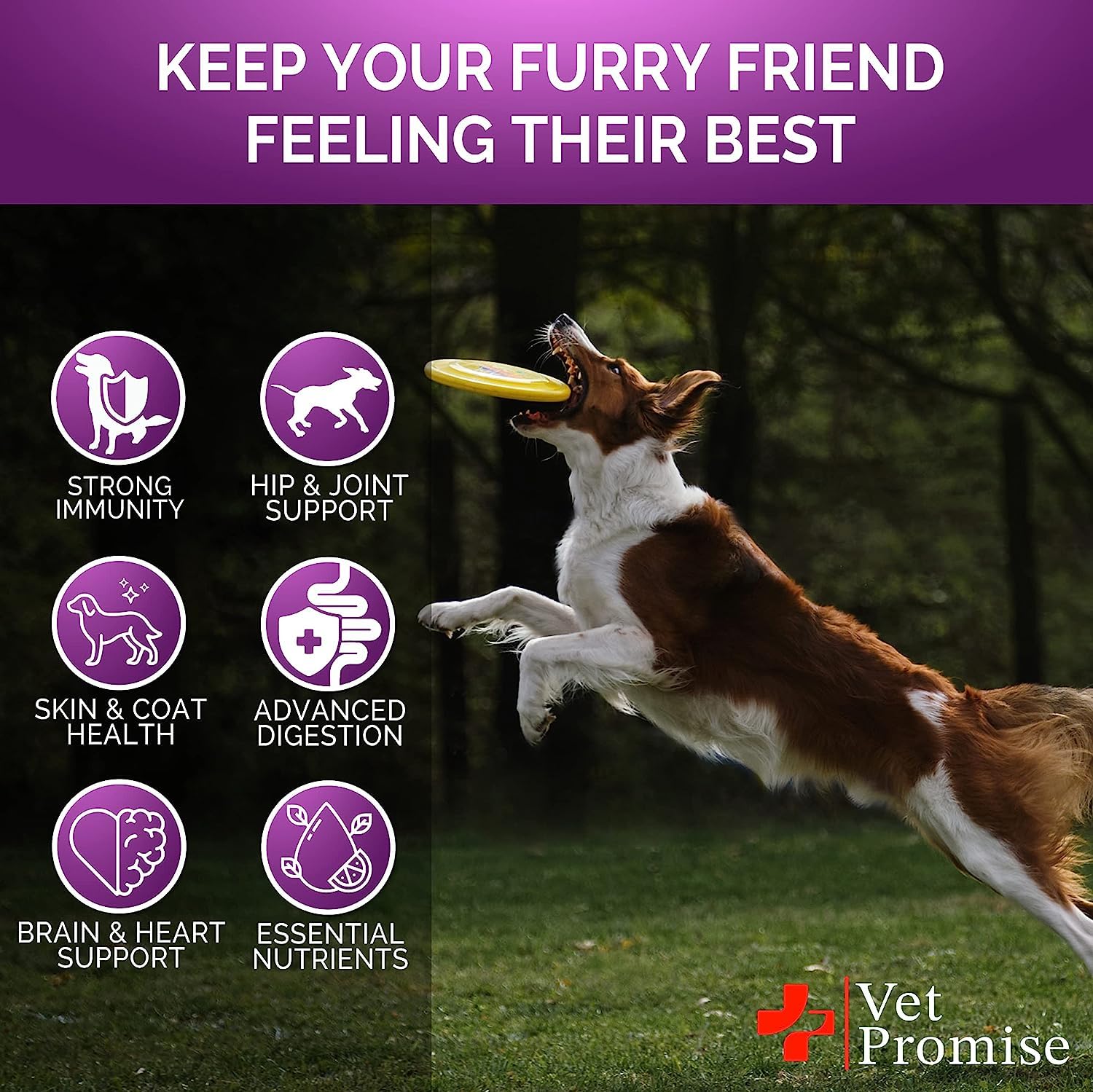 Vet Promise skin-coat health chews help soothe itchiness and promote a healthier coat.