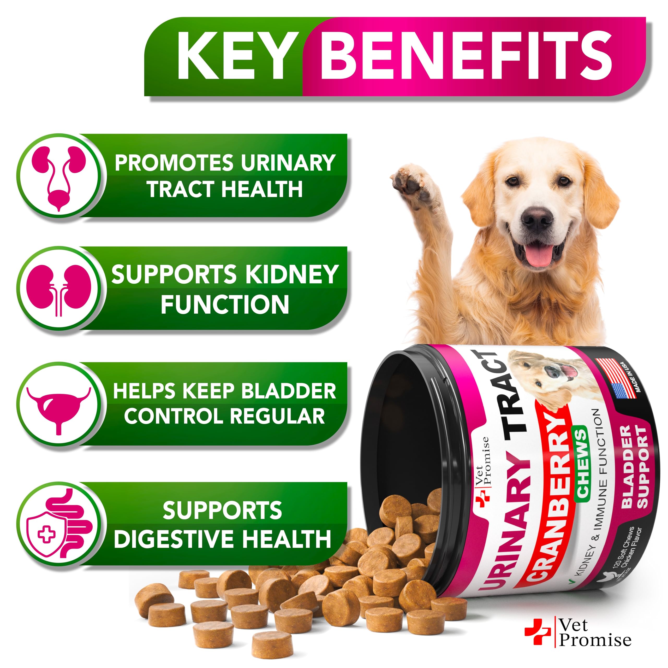 Closeup of Vet Promise cranberry chews for dogs supporting bladder comfort.