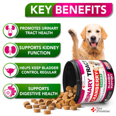 Closeup of Vet Promise cranberry chews for dogs supporting bladder comfort.