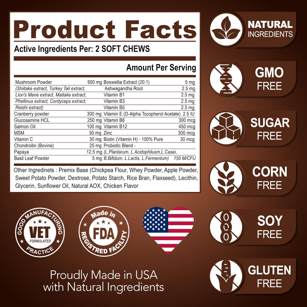 Vet Promise energy gut skin dog chews closeup suggests supported digestion and coat health