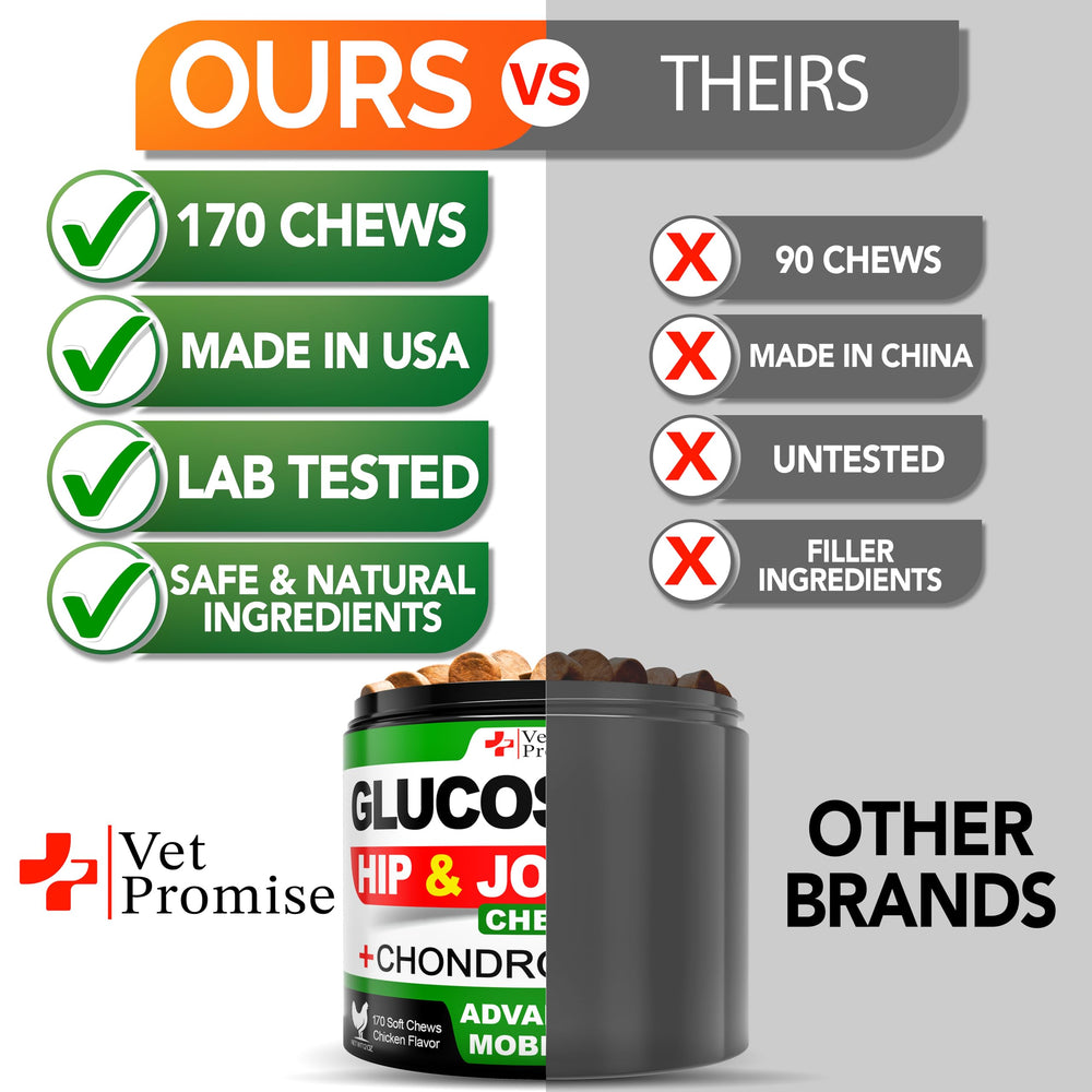 Vet Promise glucosamine dog owner-hands image implies easy daily supplementation.
