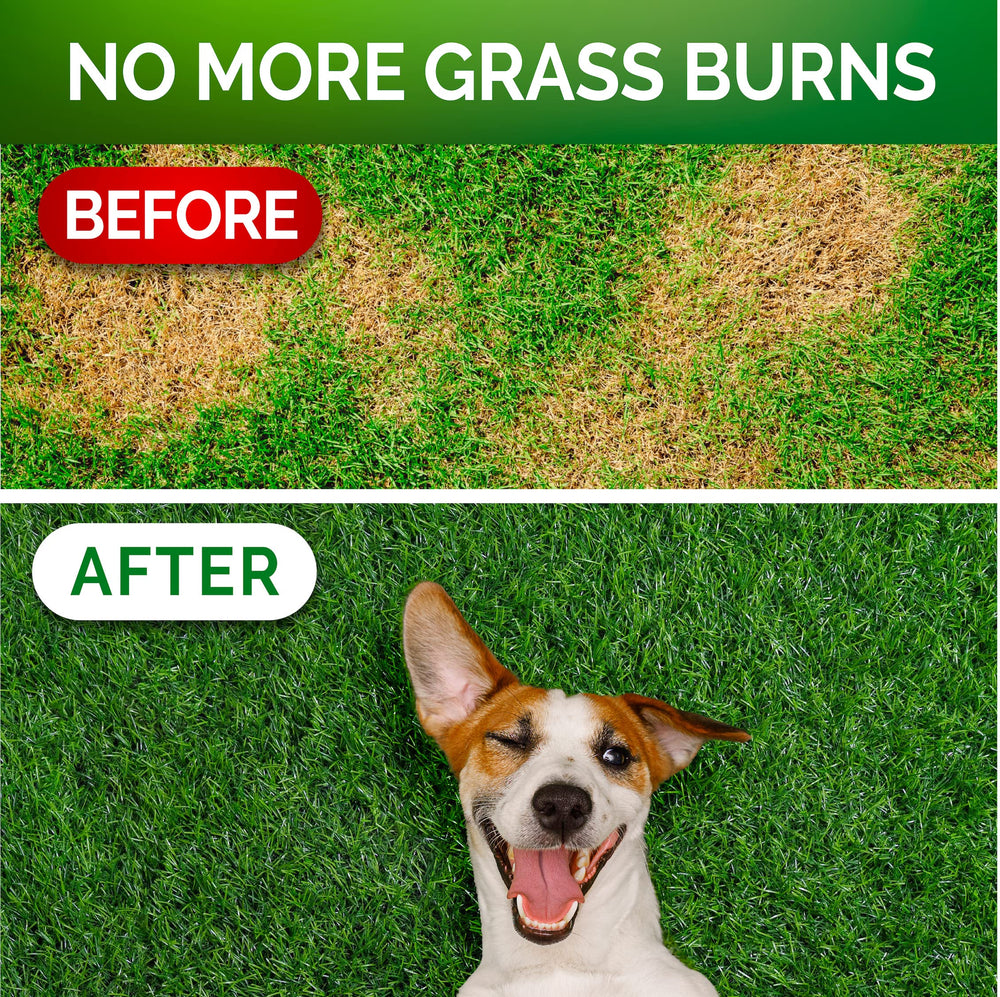 Vet Promise Grass Burn Chews treats showcase a tasty probiotic option for digestive support.