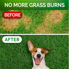 Vet Promise Grass Burn Chews treats showcase a tasty probiotic option for digestive support.