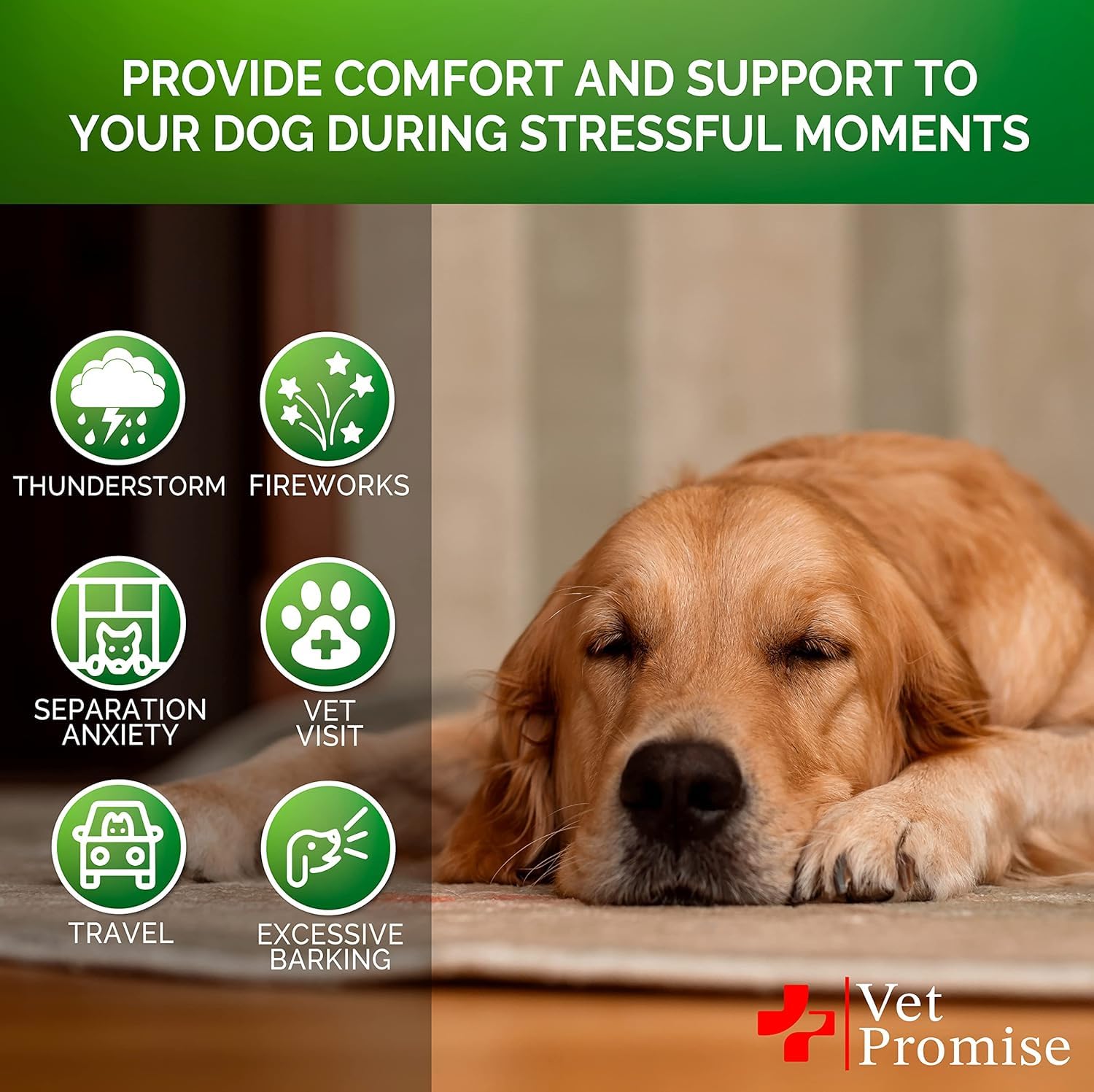 Vet Promise hemp calming chews ingredients graphic highlights valerian and chamomile