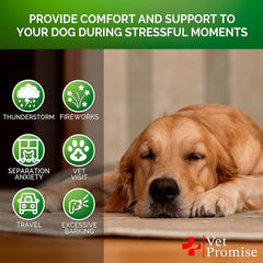 Vet Promise hemp calming chews ingredients graphic highlights valerian and chamomile