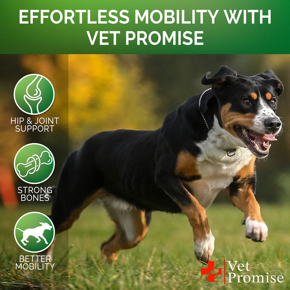 Vet Promise hemp oil dog health close-up emphasizing joint support