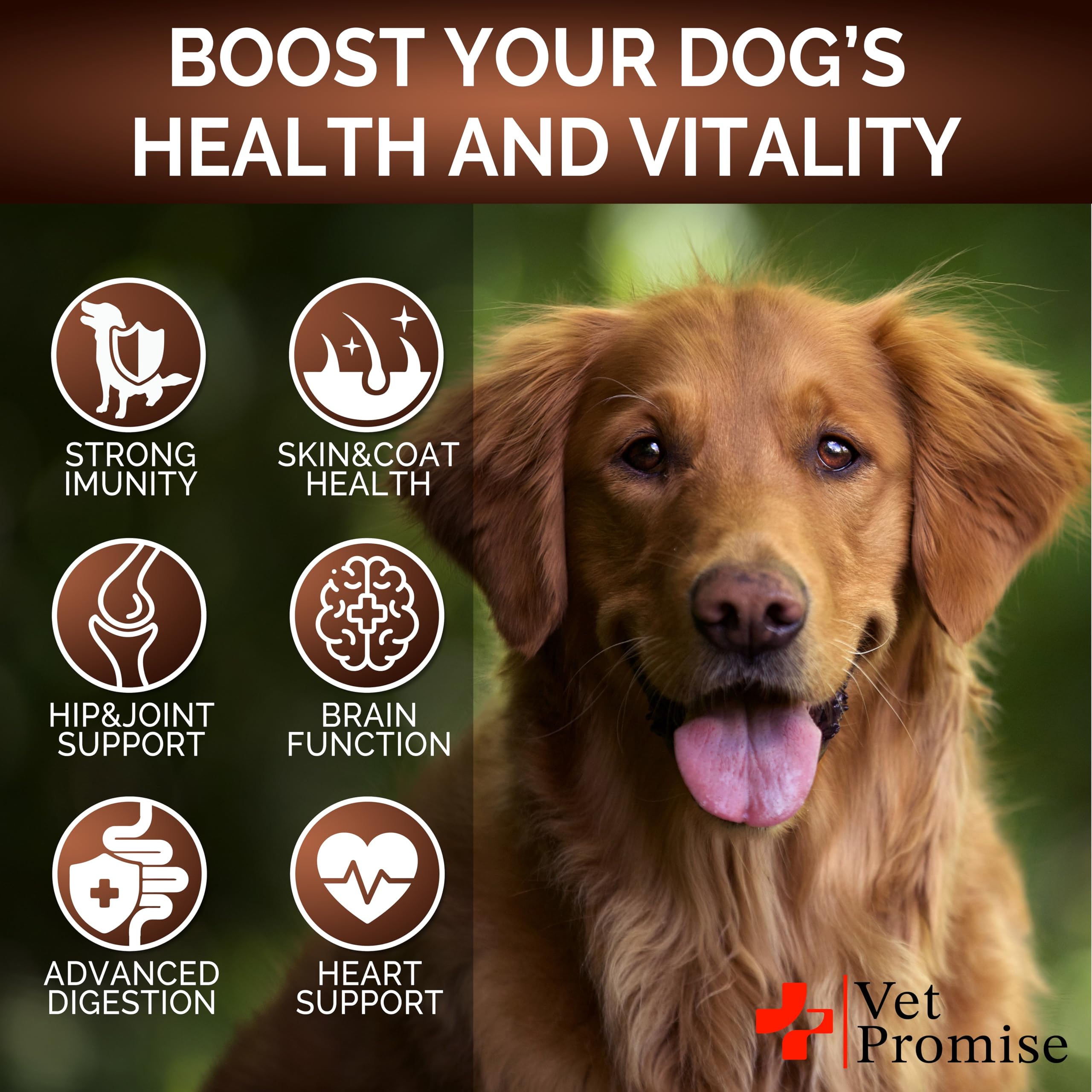 Vet Promise immunity-support treats bottle conveys daily wellness for active dogs