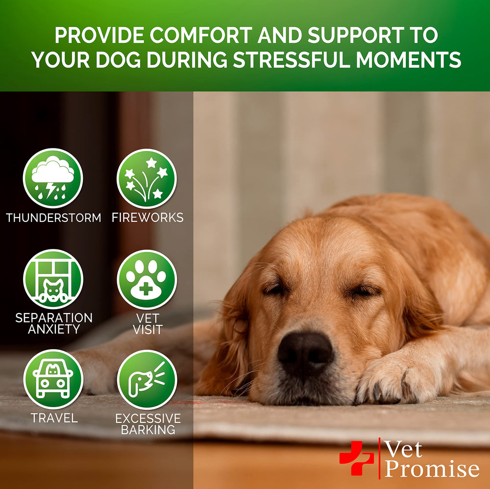 Vet Promise made in USA chews packaging showcasing vet-formulated calming treats