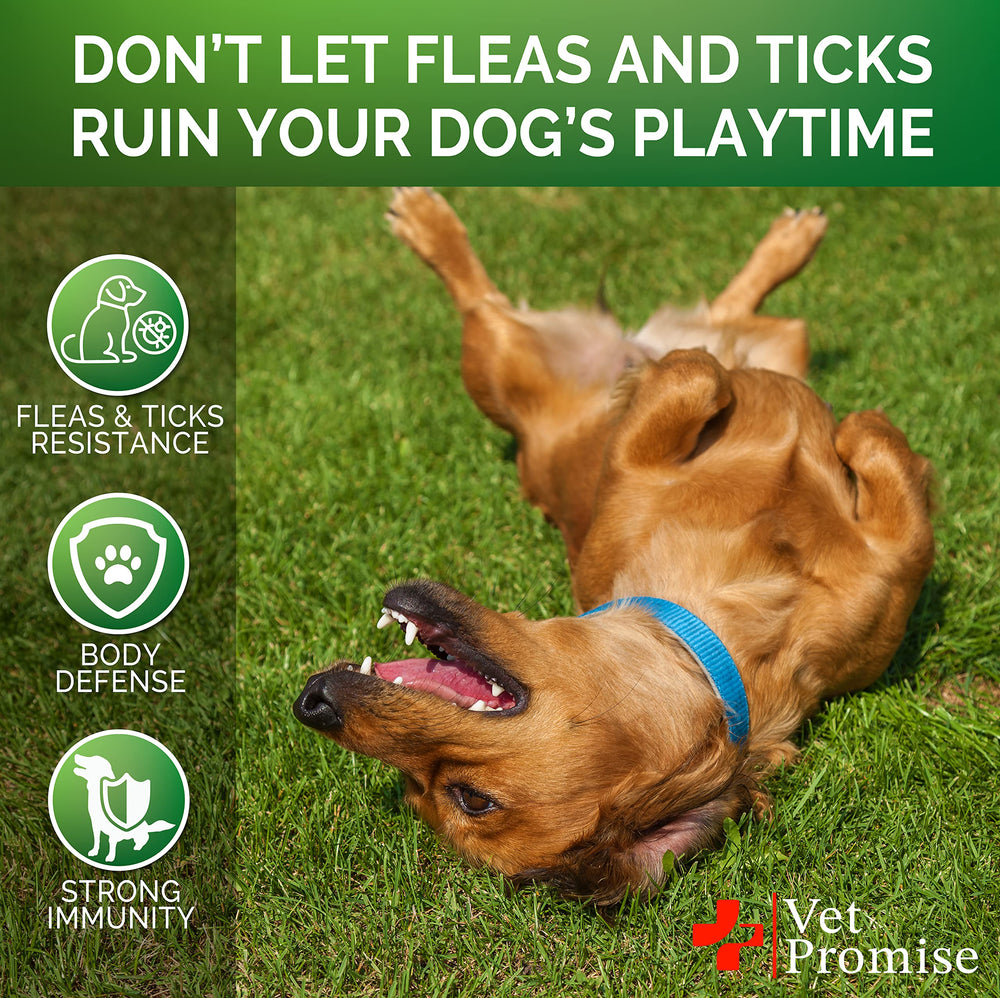 Vet Promise Made in USA facility signals high-quality production.