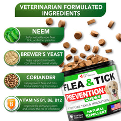 Vet Promise natural ingredients mix demonstrates safe, natural support for dogs.