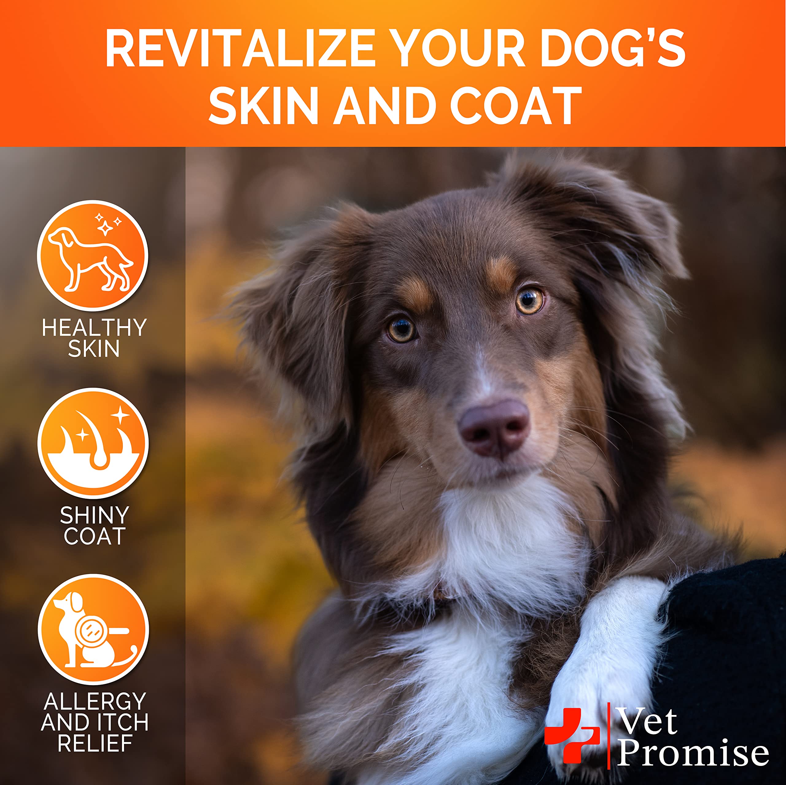 Vet Promise Omega 3 for Dogs itching relief close-up suggests soothing effect on irritated skin.