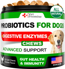 Vet Promise Probiotics for Dogs bottle – digestive support for dogs.