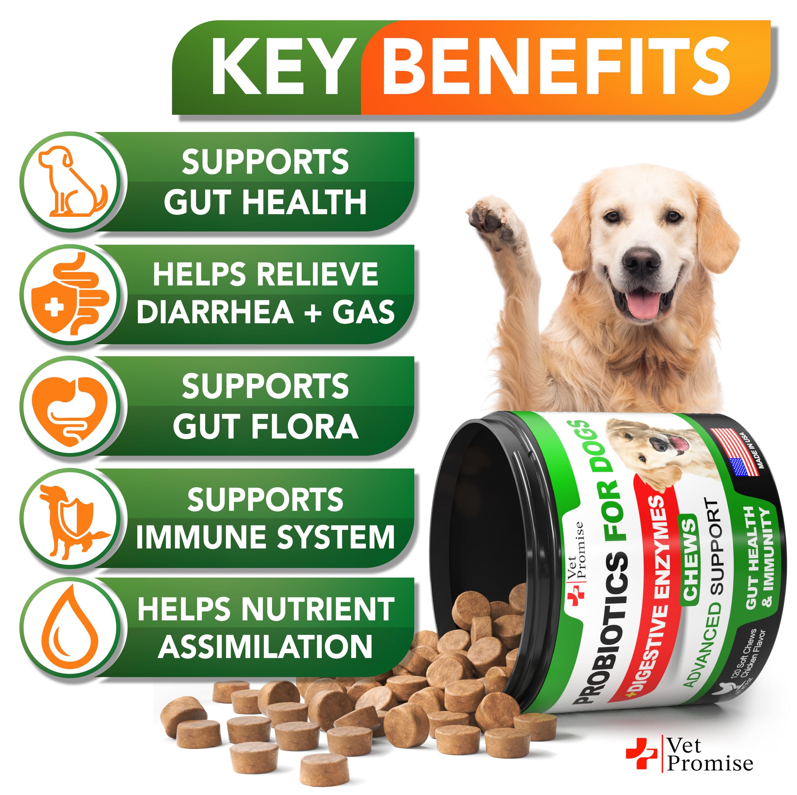Vet Promise Probiotics for Dogs chews closeup shows tasty texture for digestive comfort.