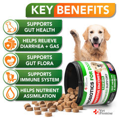 Vet Promise Probiotics for Dogs chews closeup shows tasty texture for digestive comfort.