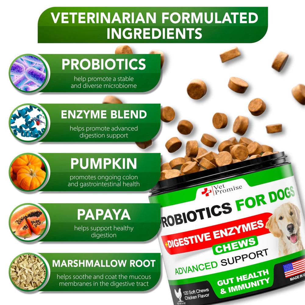 Vet Promise Probiotics for Dogs ingredients label highlights premium natural components for gut health.