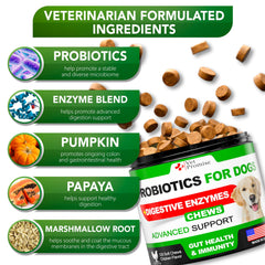 Vet Promise Probiotics for Dogs ingredients label highlights premium natural components for gut health.