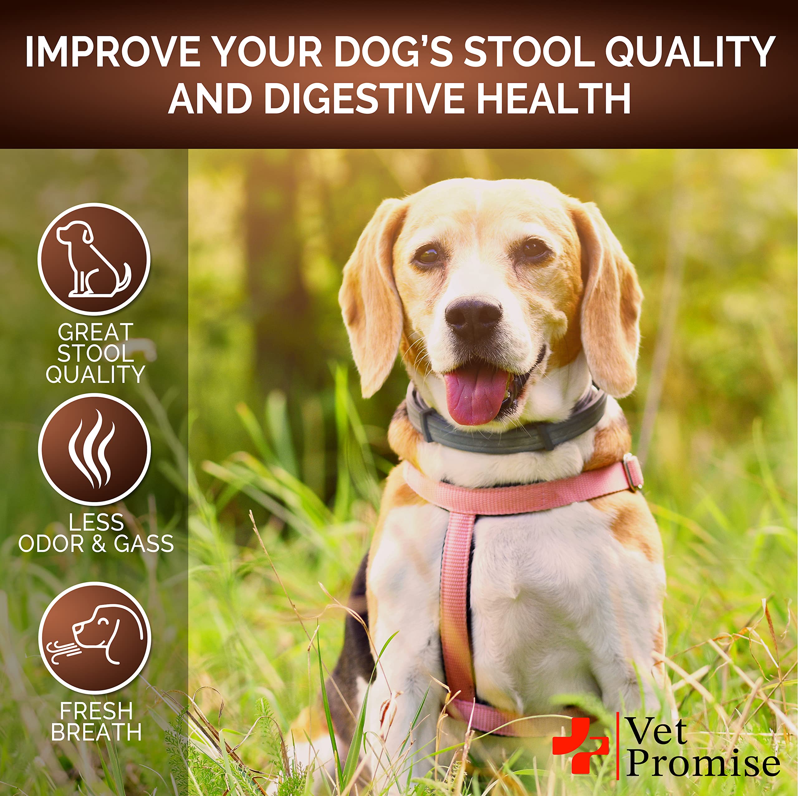 Vet Promise Super Poop Probiotics made-in-usa seal image suggests vet-formulated quality