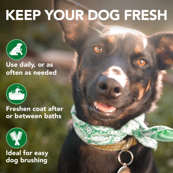 Vet's Best Moisture Mist soft coat glow after spray demonstrates lustrous, healthy-looking fur.