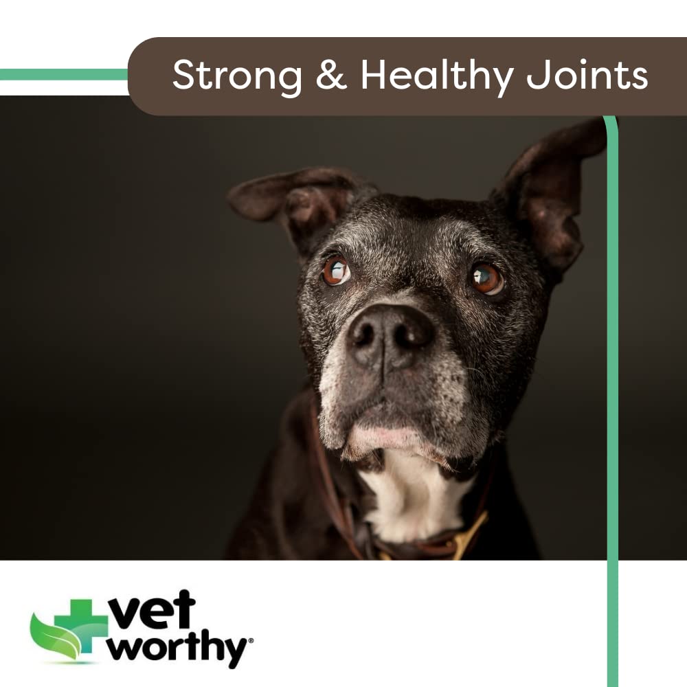 Vet Worthy glucosamine-chondroitin-msm ingredients closeup supports joint tissues