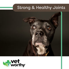 Vet Worthy glucosamine-chondroitin-msm ingredients closeup supports joint tissues