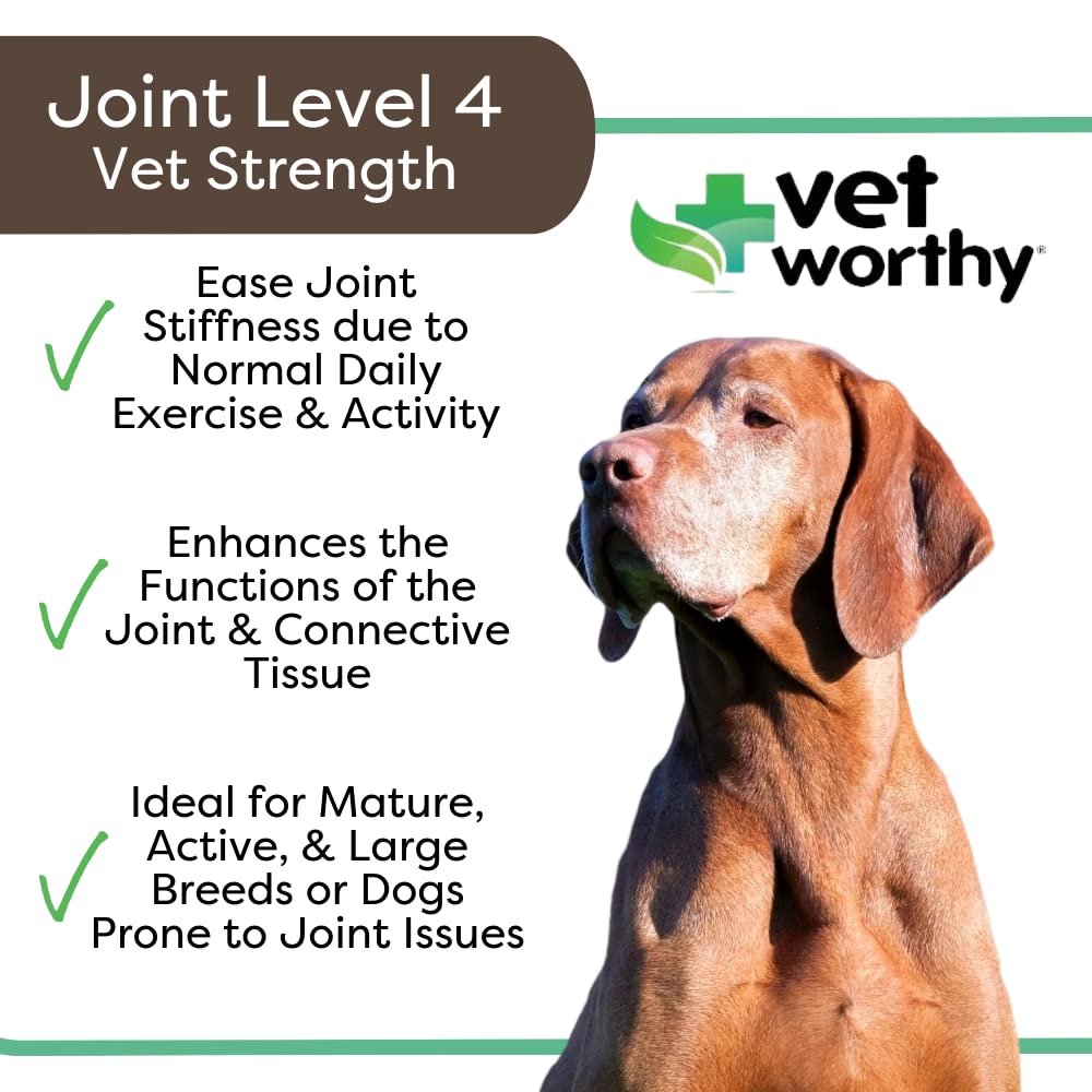 Vet Worthy joint-support-level-4 bottle closeup showing resealable jar freshness