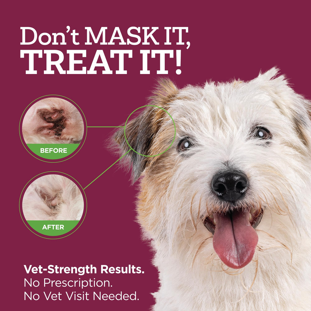 Vetality Comfort Tube close-up shows a soft tip for gentle application.