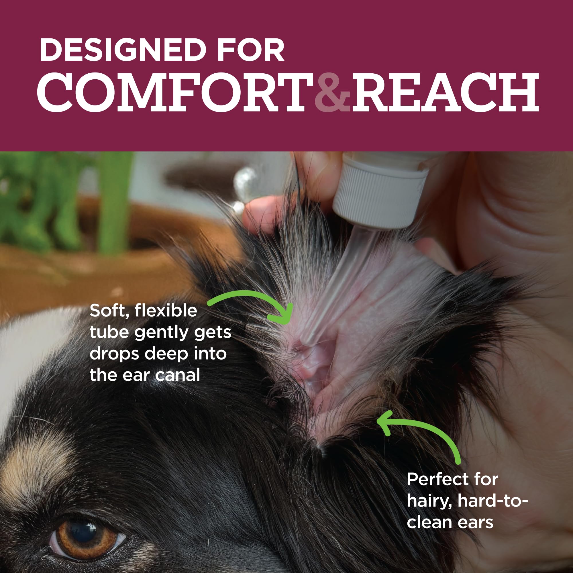 Vetality post treatment scene shows a happier, comfortable dog.