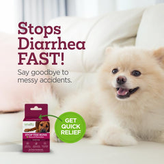 Vetality Stop The Runs chewables pack with chicken flavor dogs love.