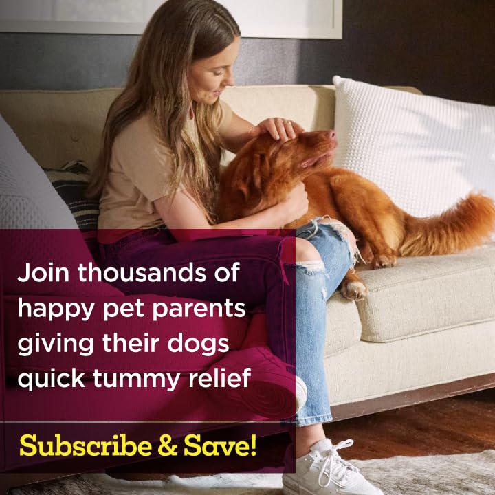 Vetality Stop The Runs fast relief in tasty chewable form for dogs.