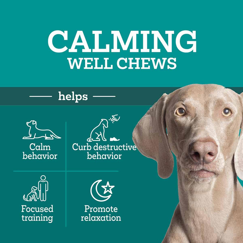 Vetality Sniffer Chews trainer-use setup for effective recall cues