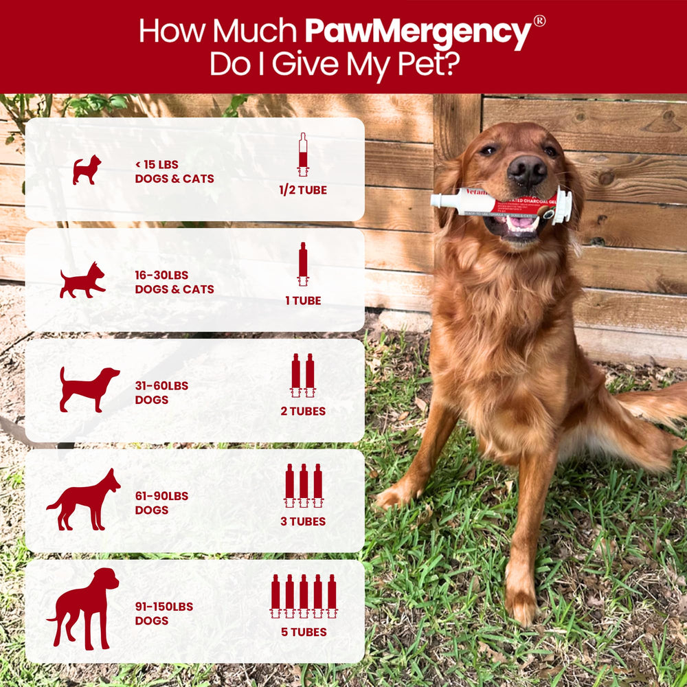 Vetanica PawMergency travel kit ready for on-the-go protection.