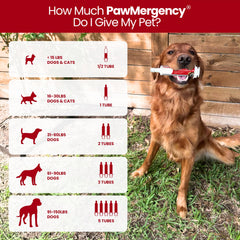 Vetanica PawMergency travel kit ready for on-the-go protection.
